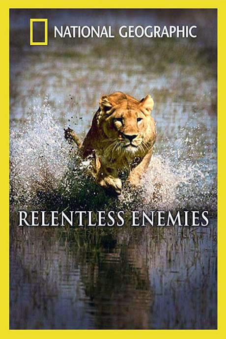 Relentless Enemies: Lions and Buffalo